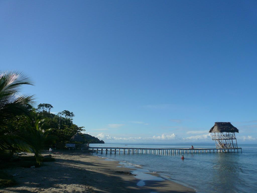 Hotel Salvador Gaviota ลิฟวิงสตัน ภายนอก รูปภาพ